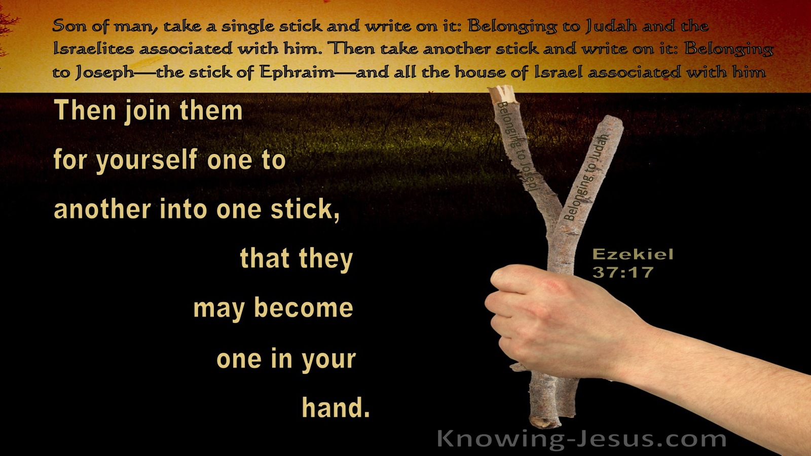Ezekiel 37:17 Then Join Them For Yourself One To Another Into One Stick (black)